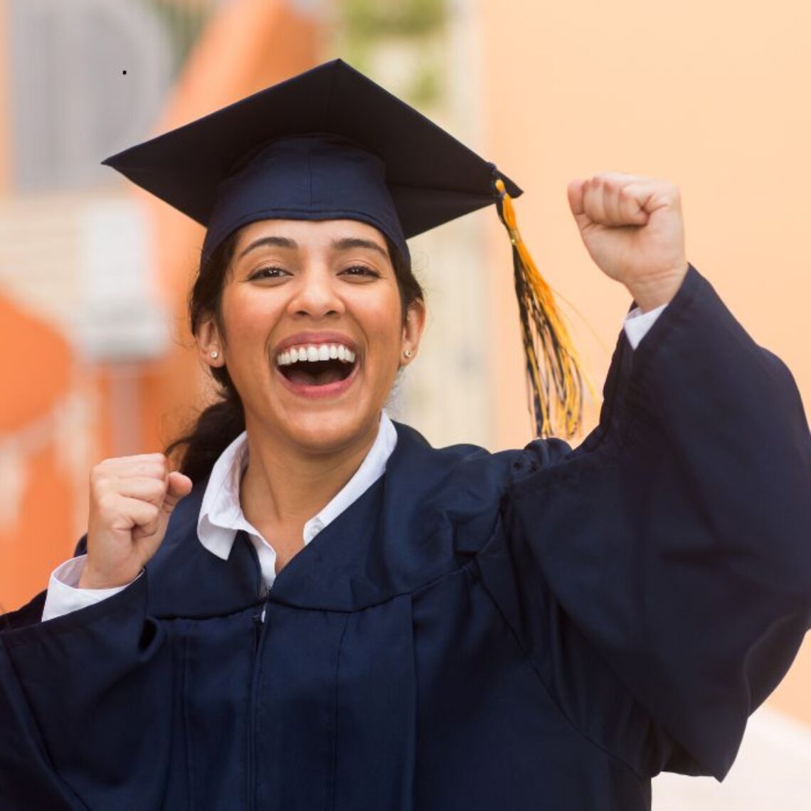 Promovidos de Instituciones Educativas